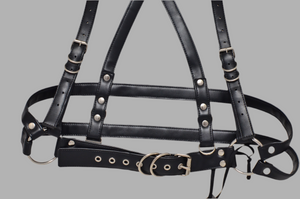 Fer Harness + Ready-made