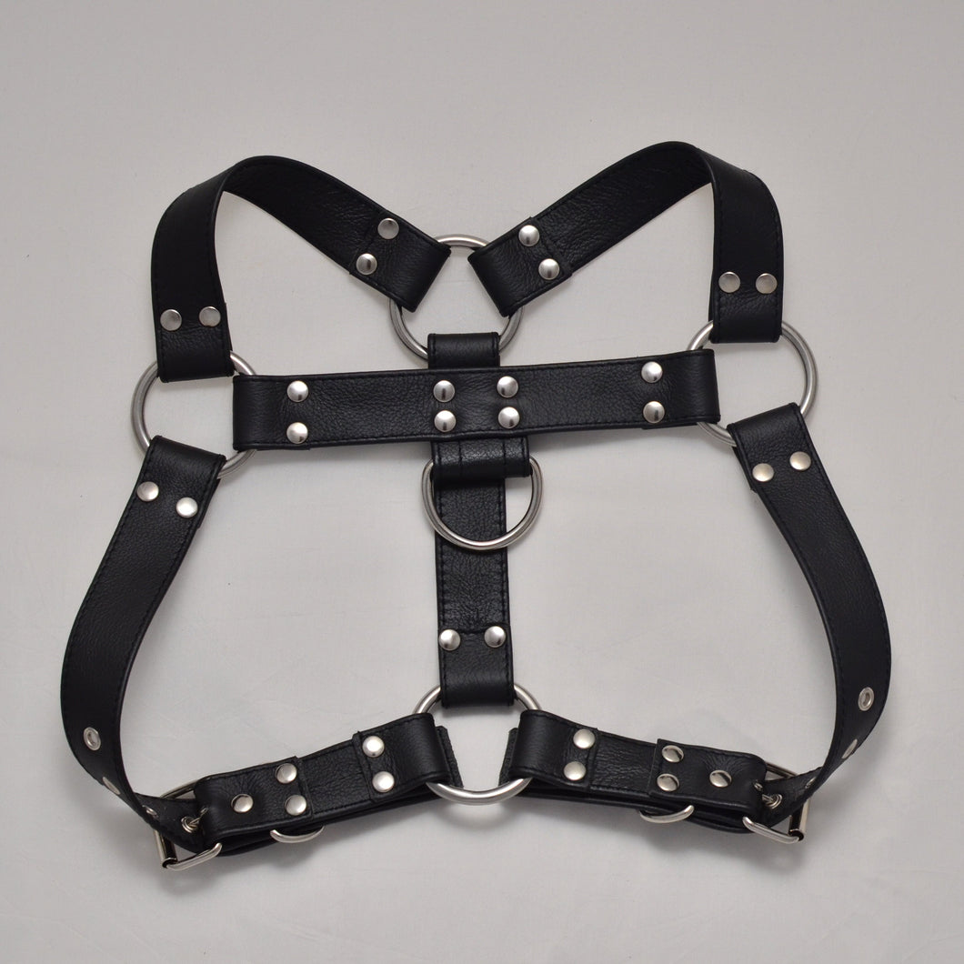 Facundo Harness + Ready made-